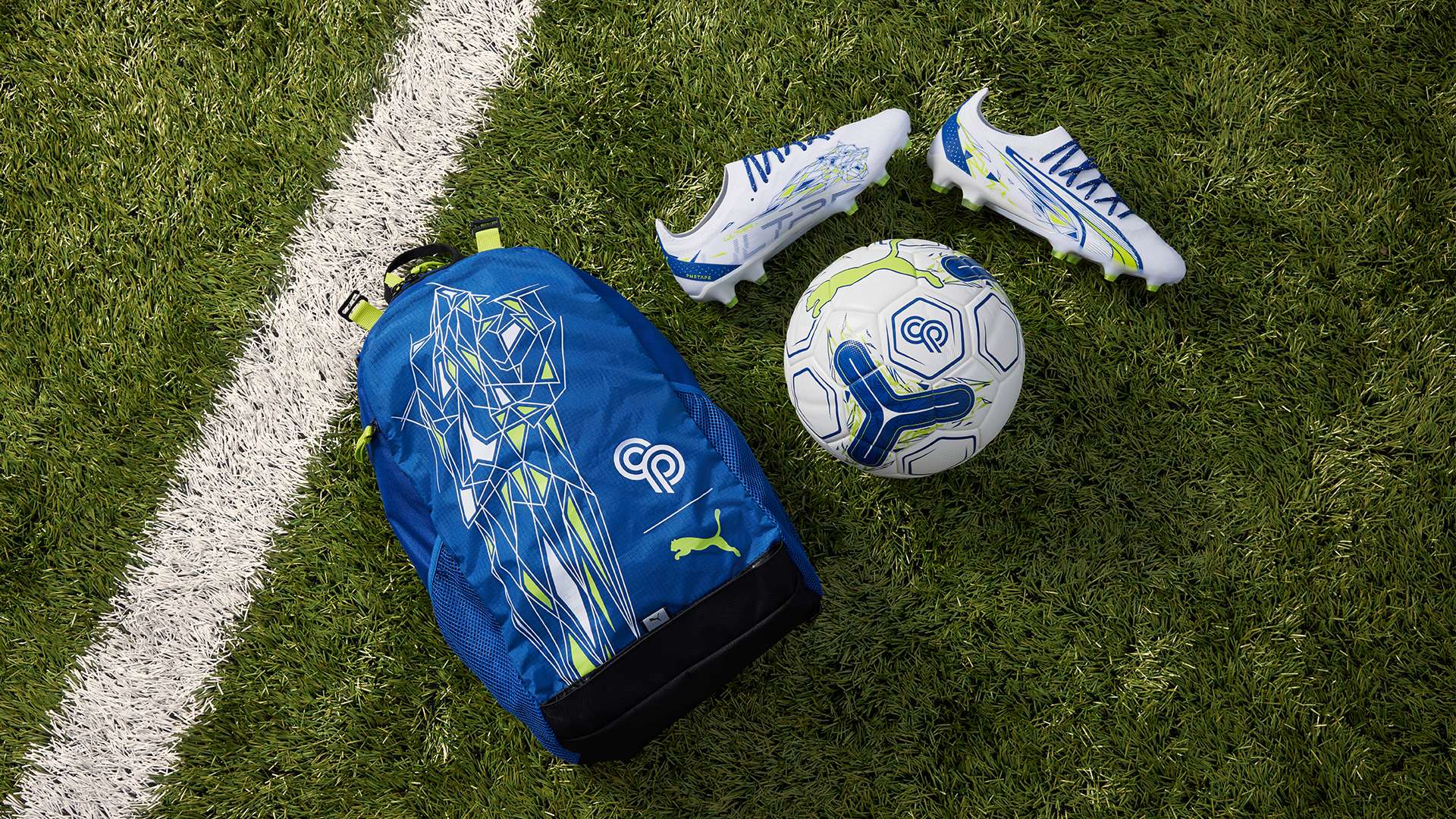 將職業生涯 將職業生涯